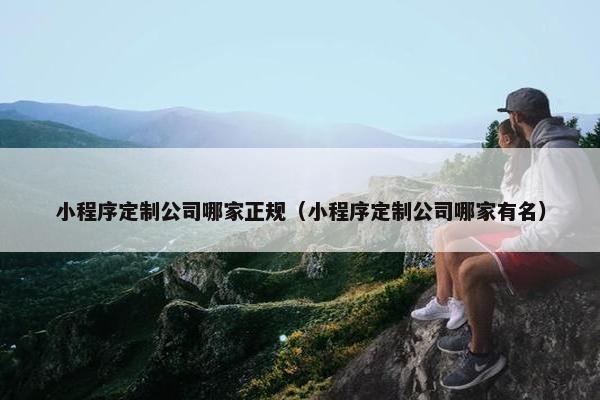 小程序定制公司哪家正规（小程序定制公司哪家有名）