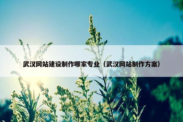 武汉网站建设制作哪家专业（武汉网站制作方案）