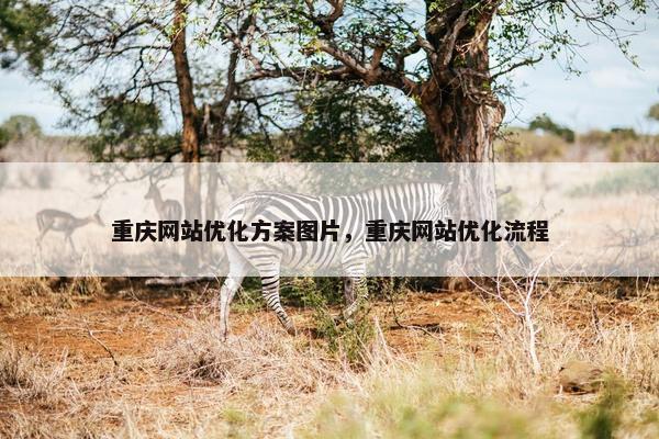 重庆网站优化方案图片，重庆网站优化流程