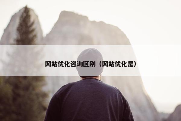 网站优化咨询区别（网站优化是）