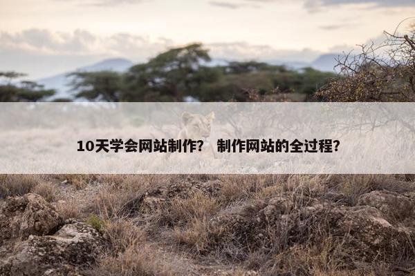 10天学会网站制作？ 制作网站的全过程？