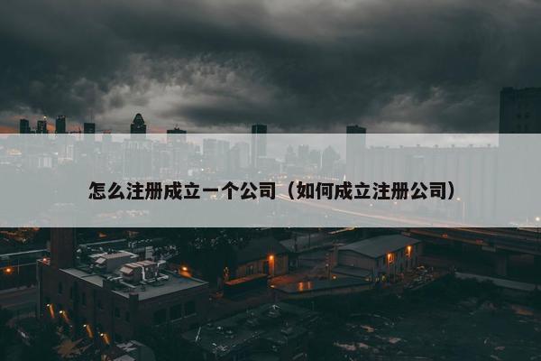 怎么注册成立一个公司（如何成立注册公司）