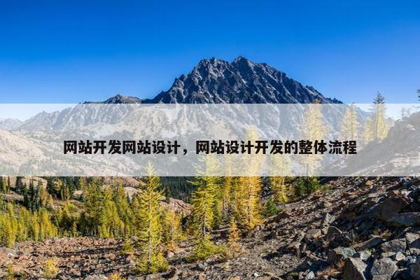 网站开发网站设计，网站设计开发的整体流程