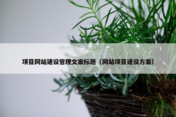项目网站建设管理文案标题（网站项目建设方案）