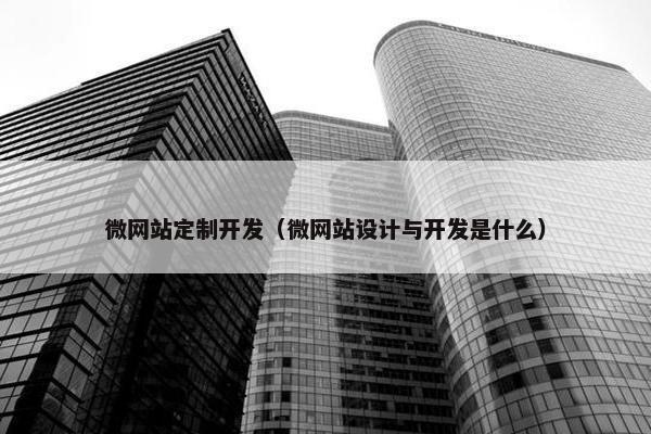 微网站定制开发（微网站设计与开发是什么）