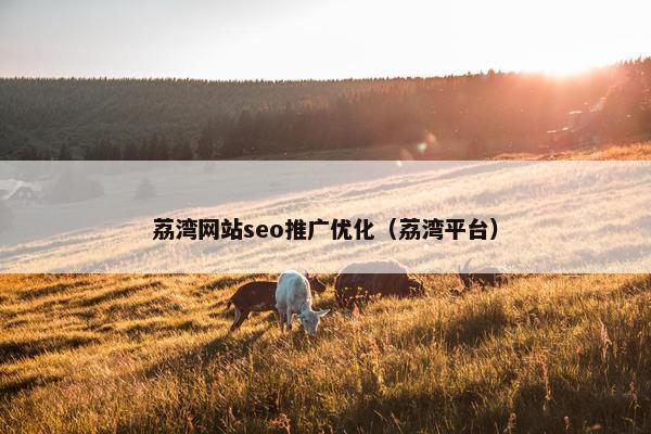 荔湾网站seo推广优化（荔湾平台）