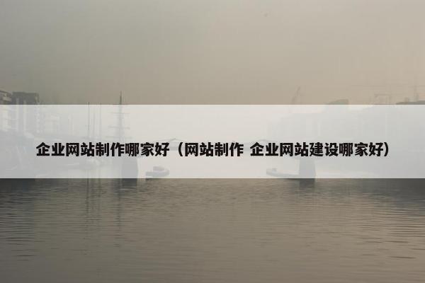 企业网站制作哪家好（网站制作 企业网站建设哪家好）