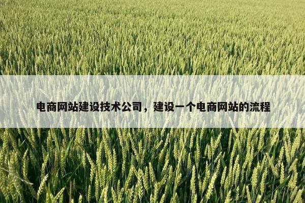 电商网站建设技术公司，建设一个电商网站的流程