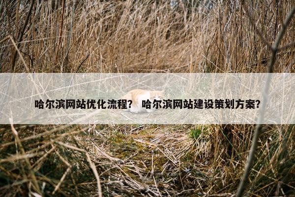 哈尔滨网站优化流程？ 哈尔滨网站建设策划方案？