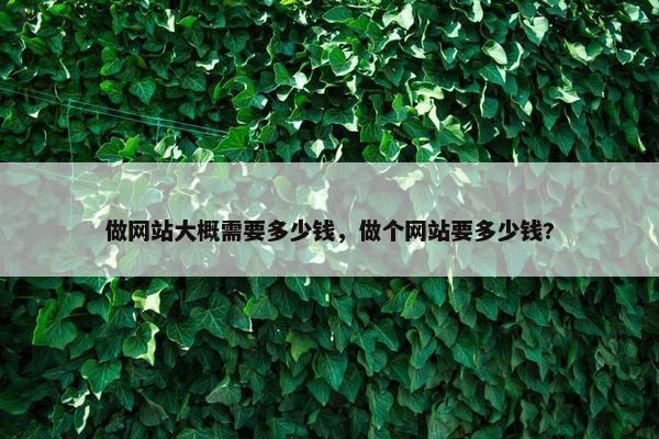 做网站大概需要多少钱，做个网站要多少钱?