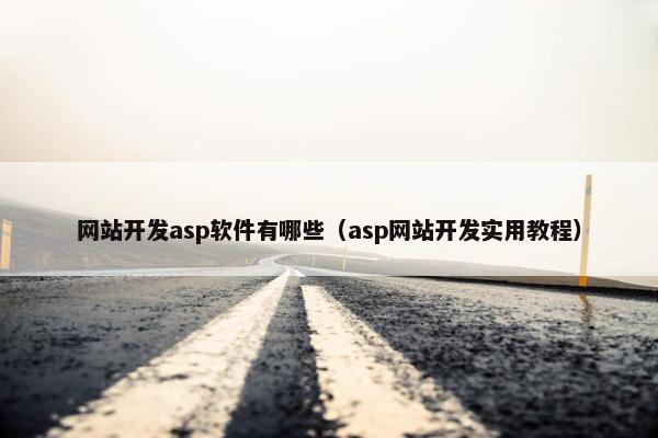 网站开发asp软件有哪些（asp网站开发实用教程）