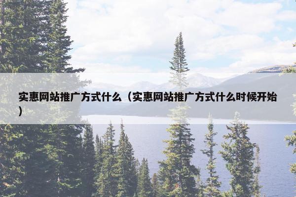实惠网站推广方式什么（实惠网站推广方式什么时候开始）