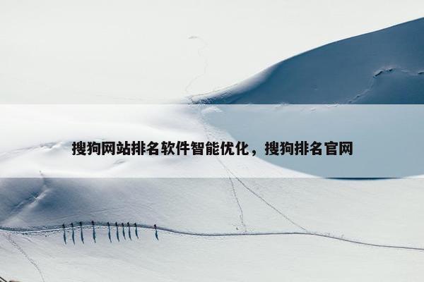 搜狗网站排名软件智能优化，搜狗排名官网