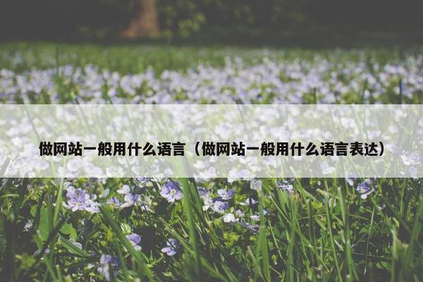 做网站一般用什么语言（做网站一般用什么语言表达）