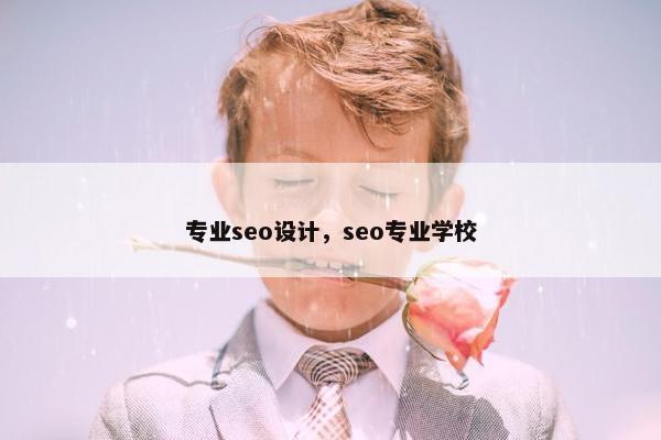 专业seo设计，seo专业学校