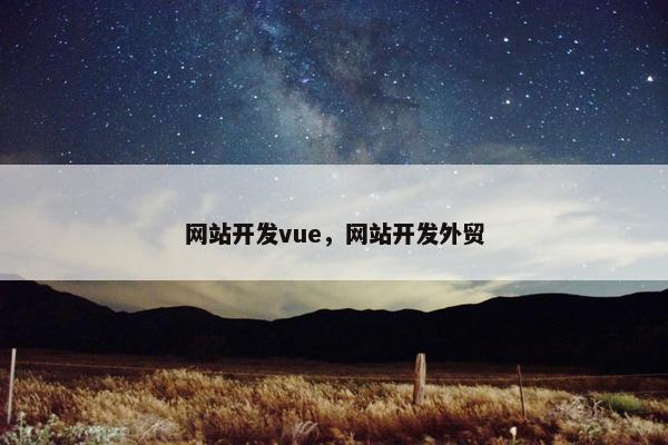 网站开发vue，网站开发外贸