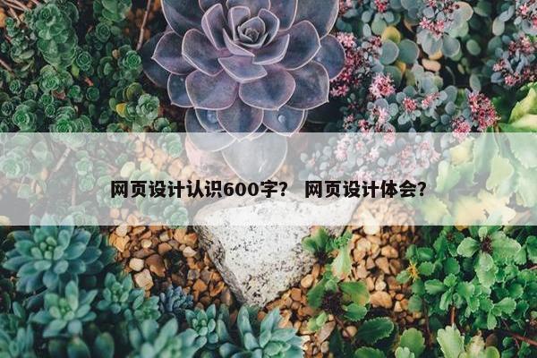 网页设计认识600字？ 网页设计体会？