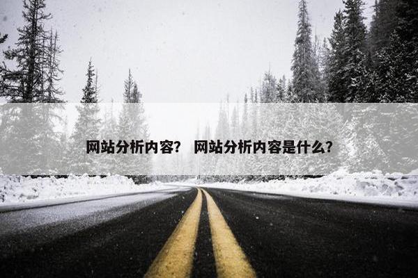 网站分析内容？ 网站分析内容是什么？