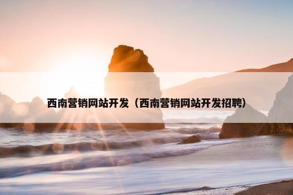 西南营销网站开发（西南营销网站开发招聘）