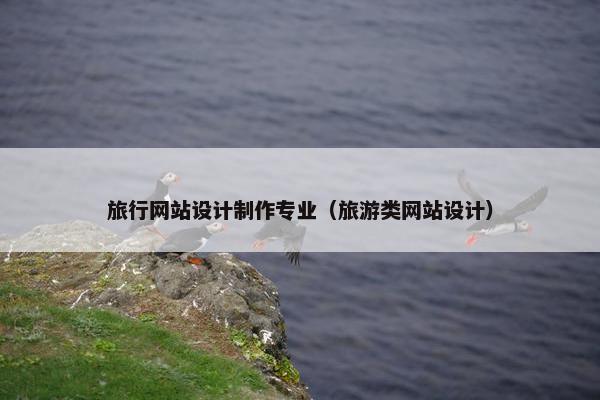 旅行网站设计制作专业（旅游类网站设计）