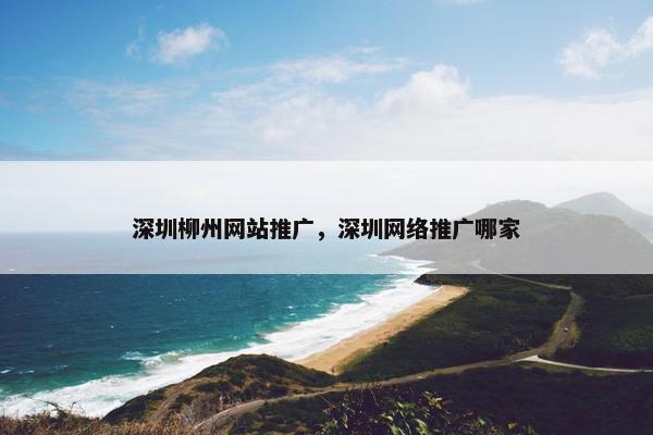 深圳柳州网站推广，深圳网络推广哪家