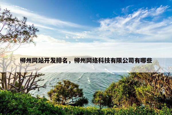 柳州网站开发排名，柳州网络科技有限公司有哪些