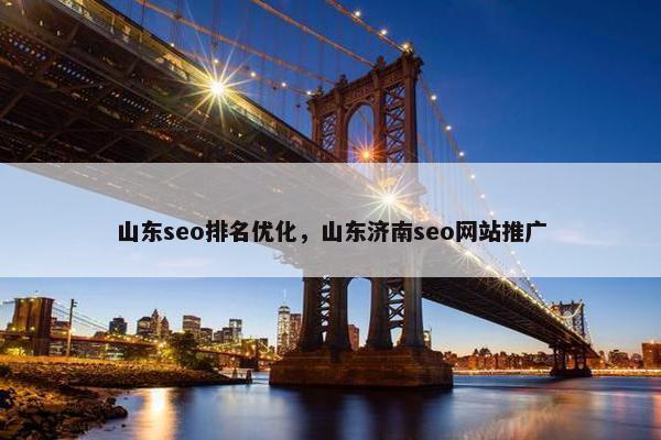 山东seo排名优化，山东济南seo网站推广