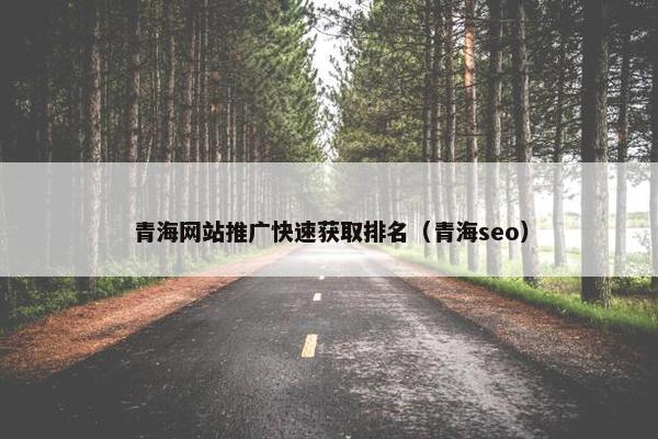 青海网站推广快速获取排名（青海seo）