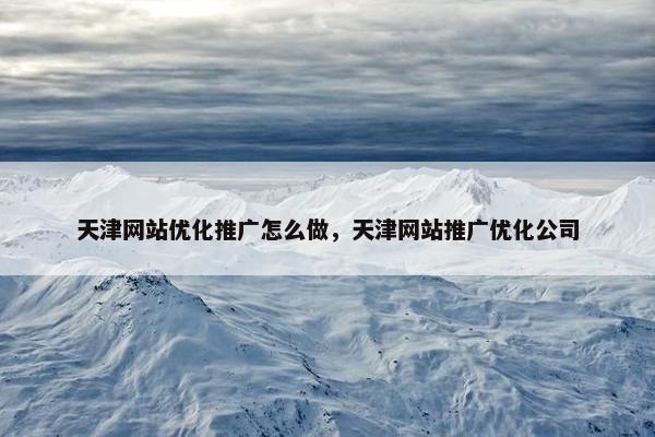 天津网站优化推广怎么做，天津网站推广优化公司
