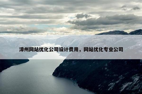 漳州网站优化公司设计费用，网站优化专业公司