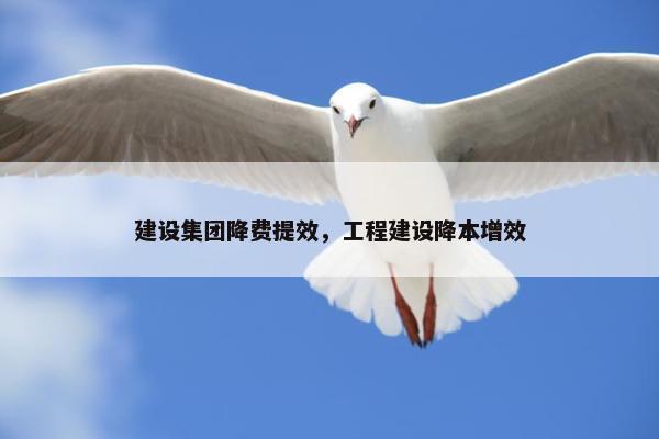 建设集团降费提效，工程建设降本增效