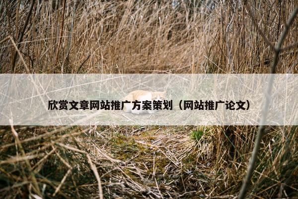 欣赏文章网站推广方案策划（网站推广论文）