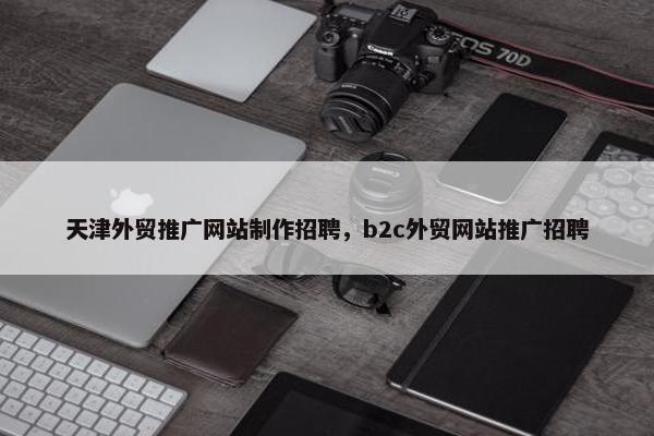 天津外贸推广网站制作招聘，b2c外贸网站推广招聘