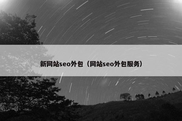 新网站seo外包（网站seo外包服务）