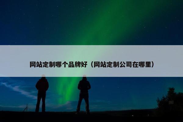 网站定制哪个品牌好（网站定制公司在哪里）