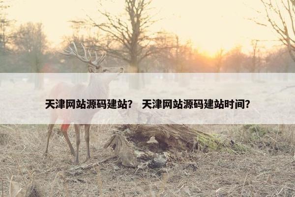 天津网站源码建站？ 天津网站源码建站时间？