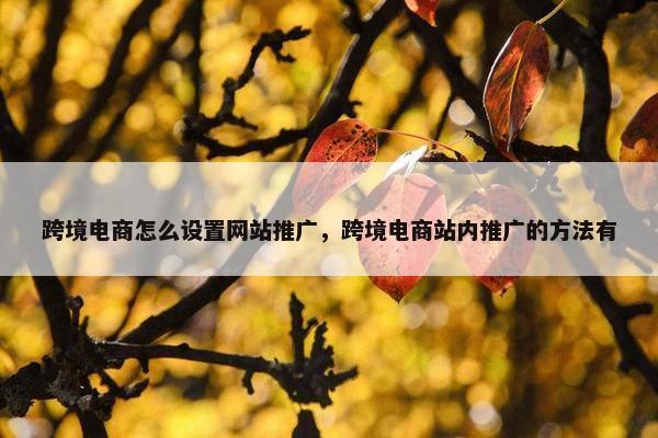 跨境电商怎么设置网站推广，跨境电商站内推广的方法有