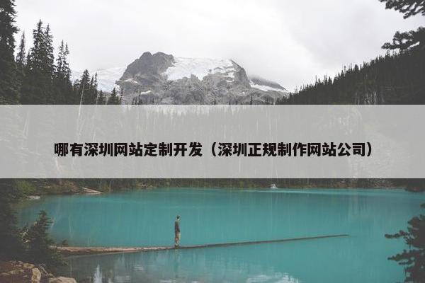 哪有深圳网站定制开发（深圳正规制作网站公司）