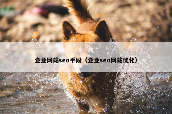 企业网站seo手段（企业seo网站优化）