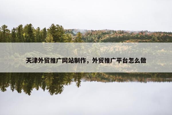 天津外贸推广网站制作，外贸推广平台怎么做