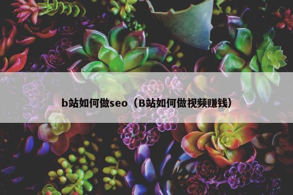 b站如何做seo（B站如何做视频赚钱）