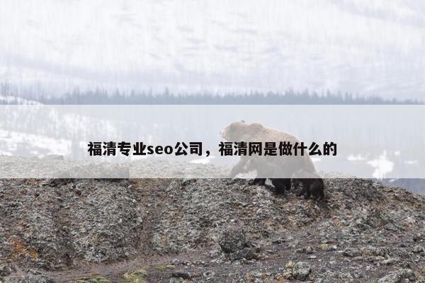 福清专业seo公司，福清网是做什么的