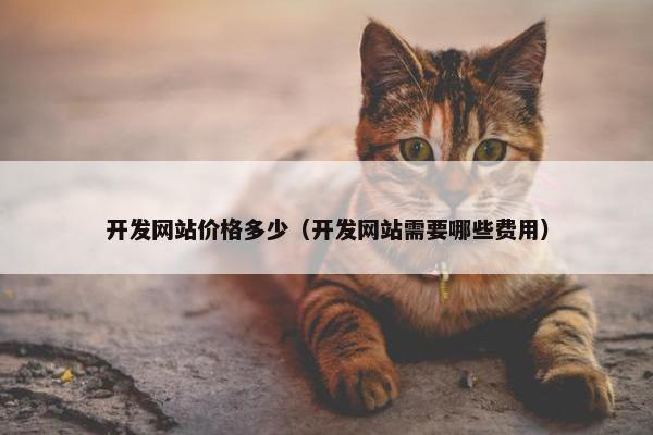 开发网站价格多少（开发网站需要哪些费用）