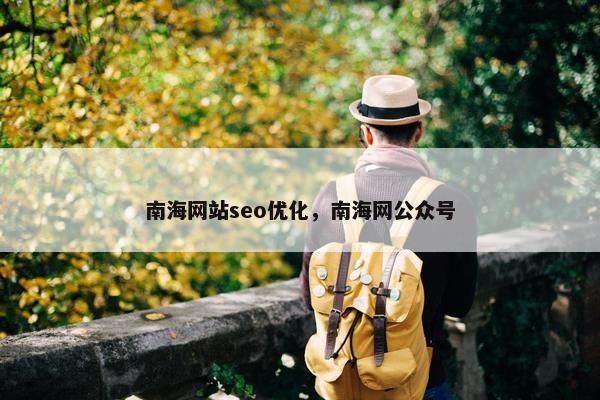 南海网站seo优化，南海网公众号