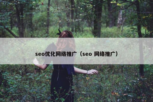 seo优化网络推广（seo 网络推广）