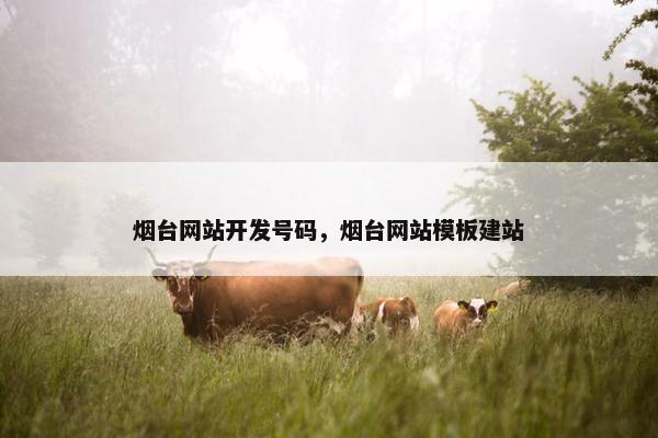 烟台网站开发号码，烟台网站模板建站