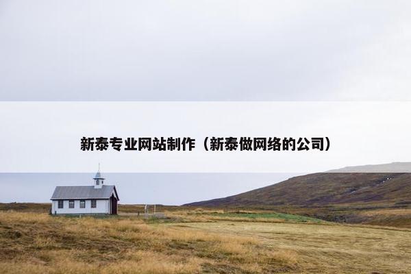 新泰专业网站制作（新泰做网络的公司）