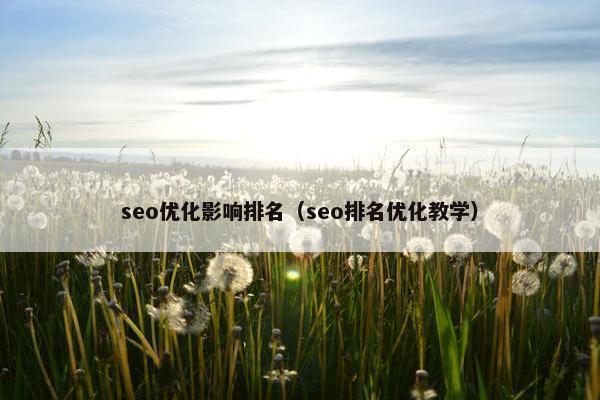 seo优化影响排名（seo排名优化教学）