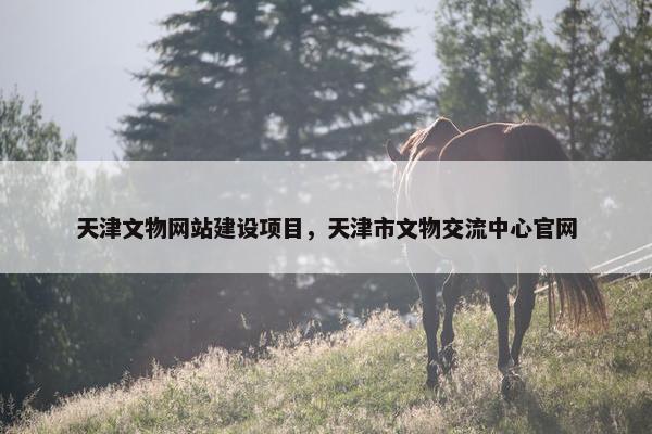 天津文物网站建设项目，天津市文物交流中心官网