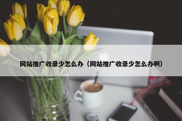 网站推广收录少怎么办（网站推广收录少怎么办啊）